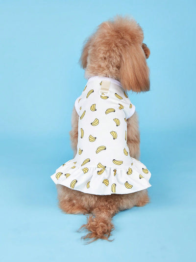 Fruity Fun Pet Dress: Avocado, Lemon, Watermelon, Banana Pattern with Leash Buckle