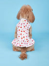 Fruity Fun Pet Dress: Avocado, Lemon, Watermelon, Banana Pattern with Leash Buckle