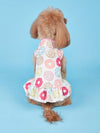 Fruity Fun Pet Dress: Avocado, Lemon, Watermelon, Banana Pattern with Leash Buckle