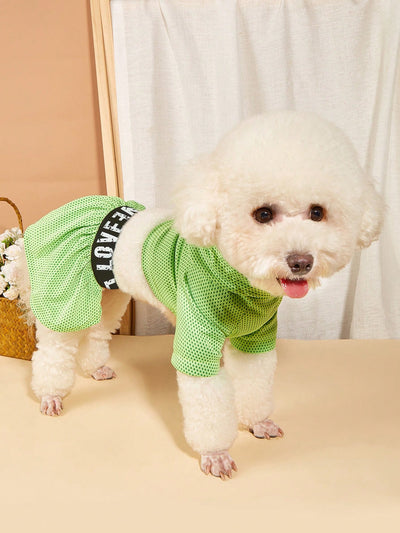 Spice Paws Dog Summer 2pcs Set Sporty Casual Hooded Dress