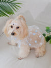 Chic and Stylish: Floral Embroidered Pet Dress