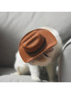 Western Cowboy Pet Cap: Purr-fect for Photoshoots & Outdoor Fun!