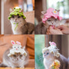 Adorable Knitted Pet Hat with Cute Cartoon Designs - Keep Your Furry Friends Stylish and Warm!