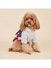 Patriotic Paws: Independence Day 3D Eagle American Flag Print Hoodie for Pets