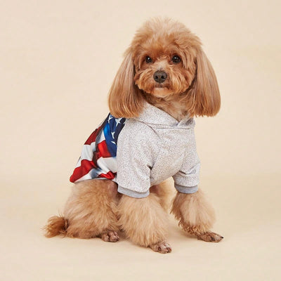 Patriotic Paws: Independence Day 3D Eagle American Flag Print Hoodie for Pets