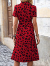 Wild Glam: Leopard Print Shirt Dress with Belt