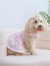 Adorable Pet Dress: Heart Plaid Patterned Cap Sleeve Dress for All Seasons