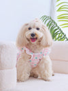 Adorable Pet Dress: Heart Plaid Patterned Cap Sleeve Dress for All Seasons