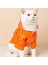 Candy-Colored Korean Style Hooded Dog Raincoat: Keep Your Bichon Frise Dry in Style!