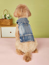 Stylish Spring Pet Jacket for Cats and Dogs