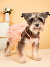 Heartfelt Pup Love: Pink Mesh Pet Cake Dress for Your Furry Friend