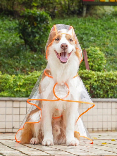 Pet-Friendly Transparent Orange Waterproof Raincoat for Stylish Outdoor Adventures in the Rain