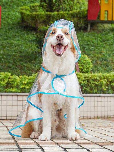 Pet-Friendly Transparent Orange Waterproof Raincoat for Stylish Outdoor Adventures in the Rain