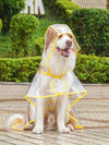 Pet-Friendly Transparent Orange Waterproof Raincoat for Stylish Outdoor Adventures in the Rain