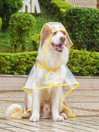 Pet-Friendly Transparent Orange Waterproof Raincoat for Stylish Outdoor Adventures in the Rain