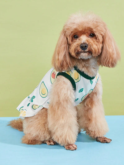 Fruity Fun Pet Dress: Avocado, Lemon, Watermelon, Banana Pattern with Leash Buckle