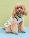 Fruity Fun Pet Dress: Avocado, Lemon, Watermelon, Banana Pattern with Leash Buckle