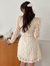 Enchanting 3D Floral Sheer Mesh Long Sleeve Dress for Women