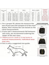 Black and Transparent Sun Protection Clothing for Large Dogs - Perfect for Summer