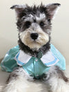 Adorable All-Season Pet Dress for Small Dogs: Perfect For Teddy Bears, Bichons, and More!