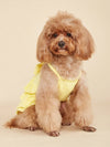 Candy Colors Princess Dress for Small Dogs and Cats