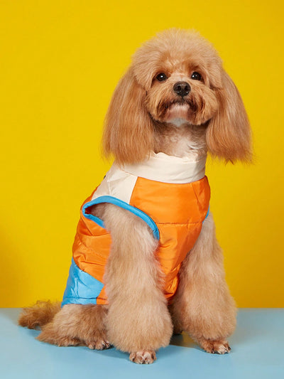 Stay Warm and Stylish with Our Color Block Padded Dog Vest for Outdoor Skiing in Autumn and Winter