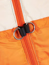 Stay Warm and Stylish with Our Color Block Padded Dog Vest for Outdoor Skiing in Autumn and Winter