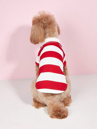 Striped Small Dog Shirt for Teddy and Bichon Frise - All Seasons - Size Up recommended