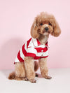 Striped Small Dog Shirt for Teddy and Bichon Frise - All Seasons - Size Up recommended