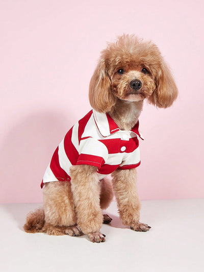 Striped Small Dog Shirt for Teddy and Bichon Frise - All Seasons - Size Up recommended