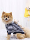 Cozy Chic: Plaid Cartoon Bear Pet Sweatshirt for Small to Medium Pets