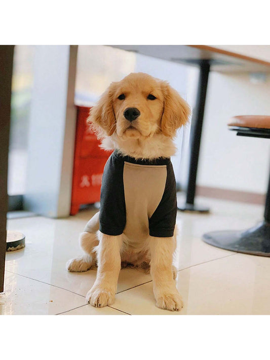 Stylish Black and Coffee Color Spliced Dog Clothes: Keep Your Pup Cool and Shed-Free This Summer