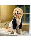 Stylish Black and Coffee Color Spliced Dog Clothes: Keep Your Pup Cool and Shed-Free This Summer