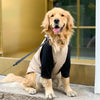 Stylish Black and Coffee Color Spliced Dog Clothes: Keep Your Pup Cool and Shed-Free This Summer