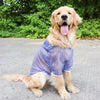 Black and Transparent Sun Protection Clothing for Large Dogs - Perfect for Summer