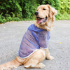 Black and Transparent Sun Protection Clothing for Large Dogs - Perfect for Summer