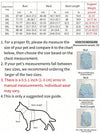 Black and Transparent Sun Protection Clothing for Large Dogs - Perfect for Summer