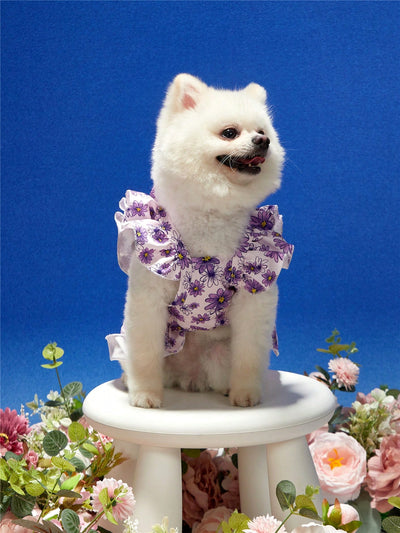 Petal Power: Purple Flying Sleeve Dress with Floral Print for Stylish Pets