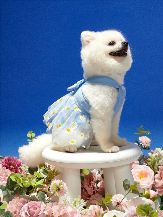 Blue Daisy Pet Dress: Bubble Cloth Skirt with Bowknot for Cats and Dogs