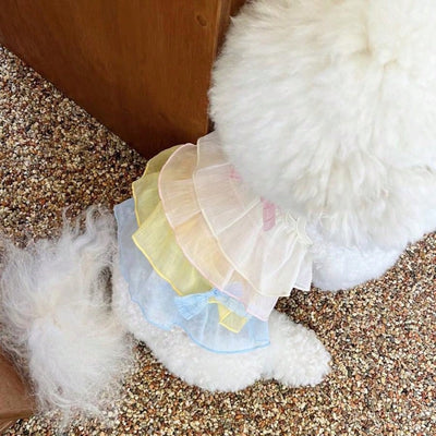 Pet Rainbow Hierarchical Suspender Skirt: Fashionable Apparel for Small Puppies and Cats