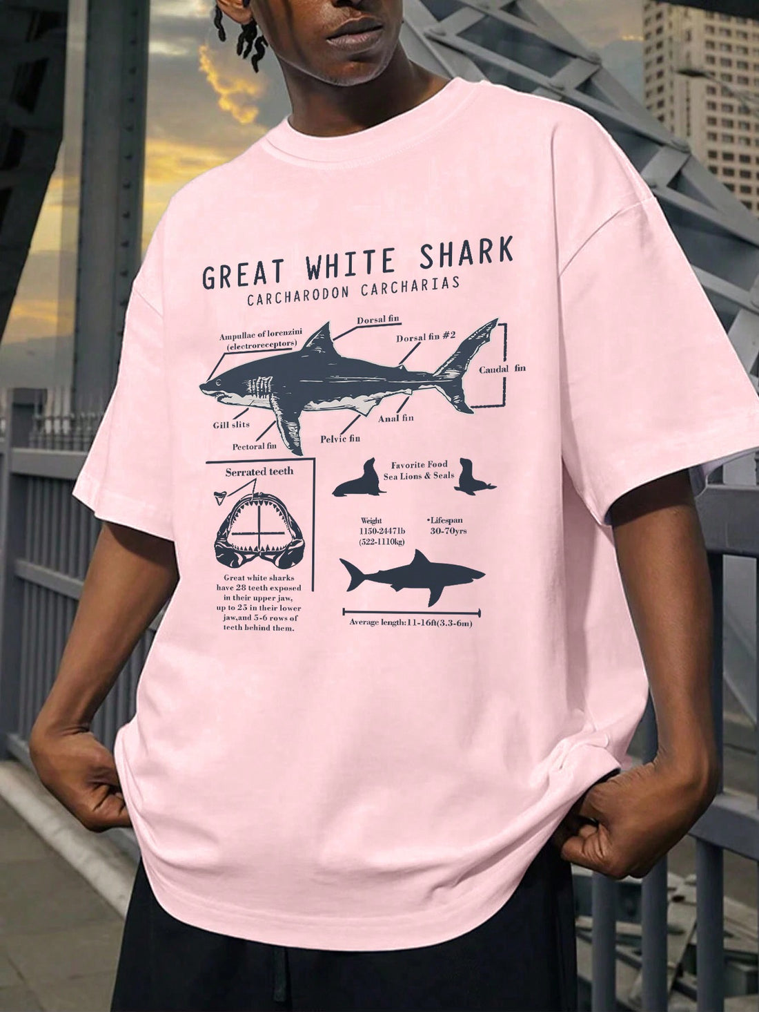 Stay stylish and comfortable this summer with our Summer Shark Attack t-shirt. Made for a casual fit, this tee features a bold slogan print that is sure to make a statement. Perfect for any outdoor adventure, show off your love for sharks with this unique and stylish shirt.