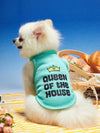 Summer Breeze: King of the House Fluorescent Green Pet Vest for Cool and Comfortable Adventures