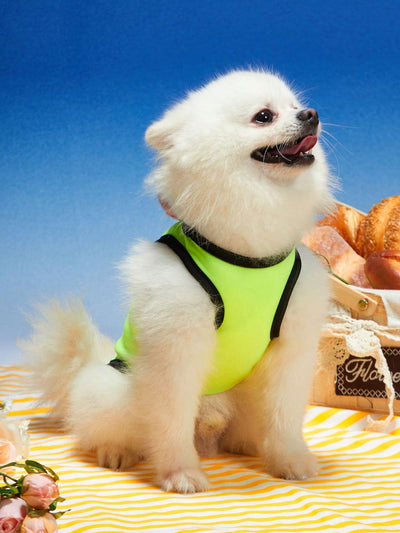 Summer Breeze: King of the House Fluorescent Green Pet Vest for Cool and Comfortable Adventures