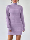 Cozy Chic: Women's Autumn & Winter Stand Collar Pullover Sweater Dress