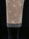 Chic Sheer Mesh Bodycon Dress - Iconic Mid-Length Elegance