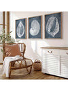 Coastal Charm: 3-Piece Seashell Canvas Wall Art Set for Beach-Inspired Decor