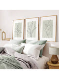 Minimalist botanical canvas print set in a neutral sage bedroom