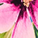 https://img.ltwebstatic.com/images3_pi/2025/01/13/ff/17367392923f6601b6b8b183b6e81e22da050bacb0.jpg
