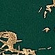 https://img.ltwebstatic.com/v4/j/pi/2025/04/27/83/1745733343c2b6901204b0f04a4442e8ecf9d748e5.jpg