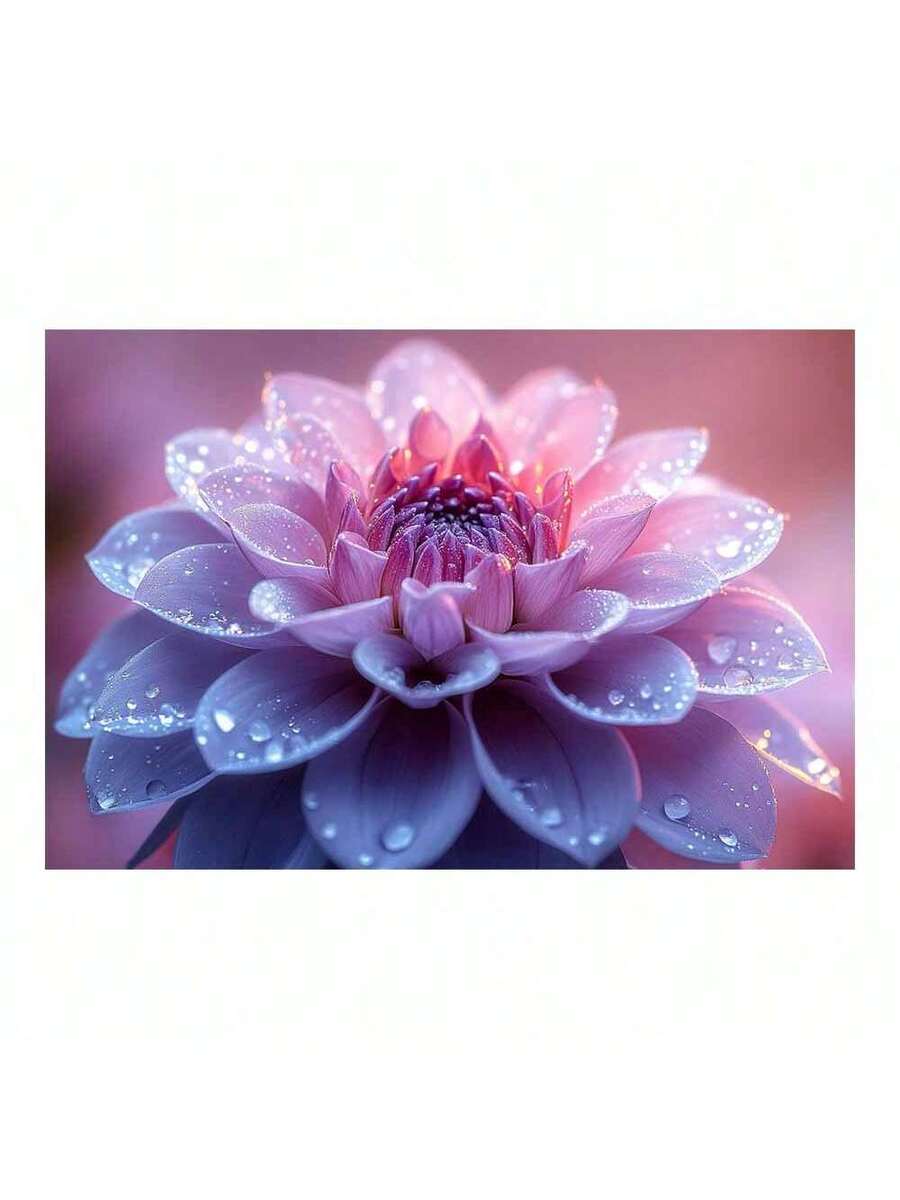Dewy pink dahlia canvas wall art with lavender petals